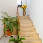 Apartmaji Karbic * بوستوينا