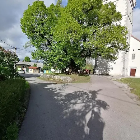 Apartmaji Karbic شقة *